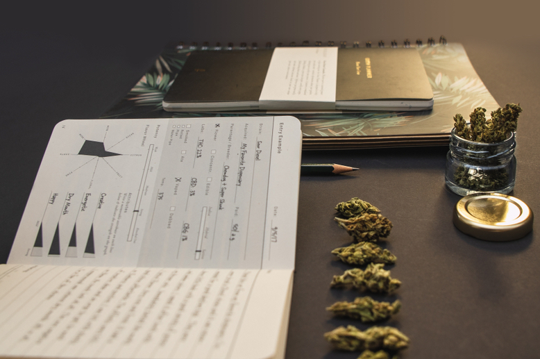 Mini book and cannabis photo