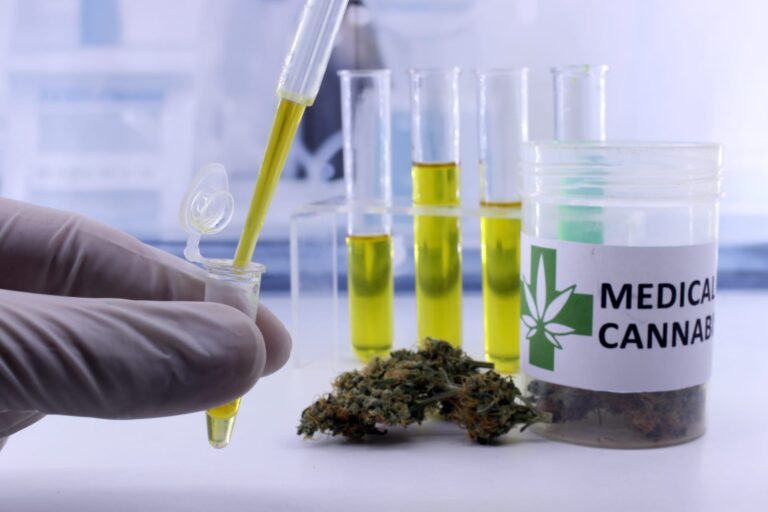 La Spagna regola l’uso medico della cannabis negli ospedali